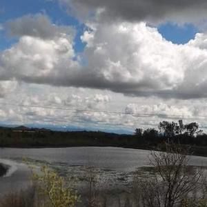 Meet your Posher, Lynn